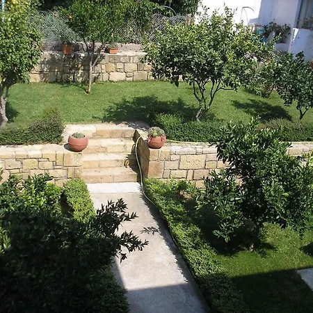 Cactus Νωπήγεια