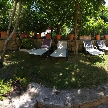 Apartament Cactus